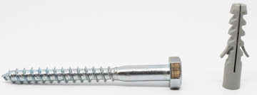 Coach Screws & M8 Rimless Plugs