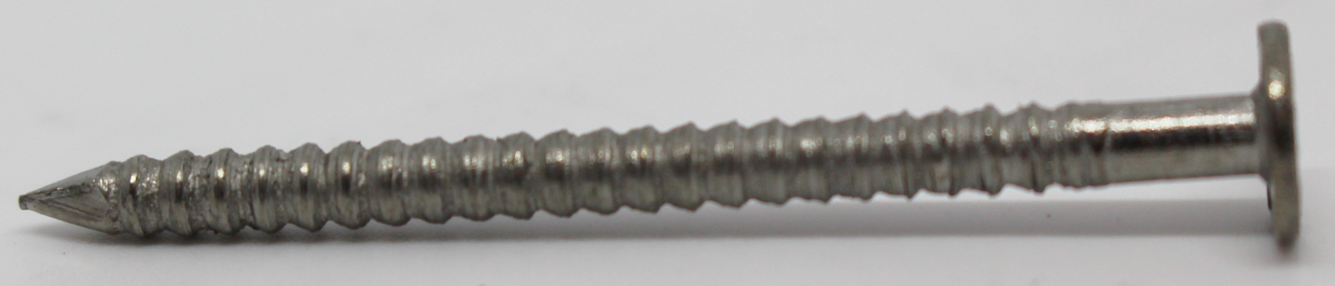 Stainless Steel Bird Spikes